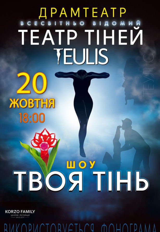 Театр Тіней TEULIS. Шоу "Твоя тінь"